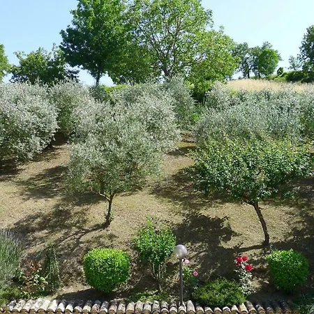 Agriturismo Collemaggio ファームステイ Valfabbrica